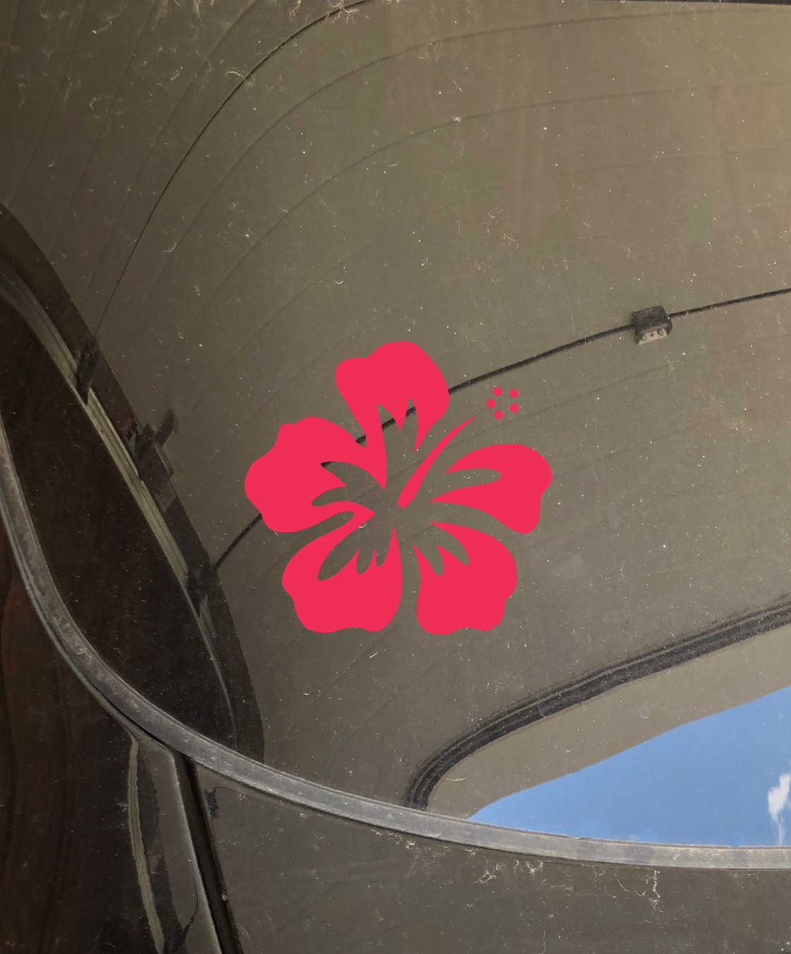 Hibiscus Flower